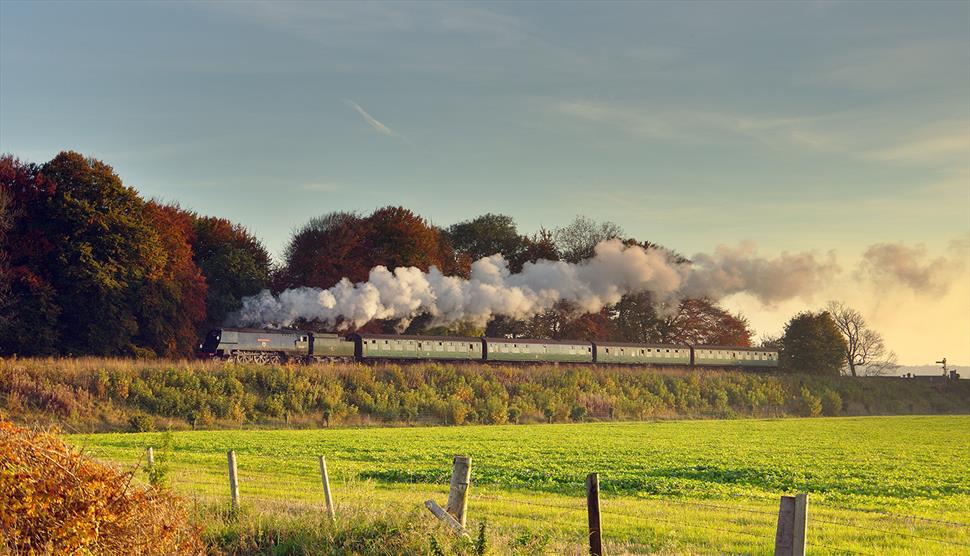 watercress line